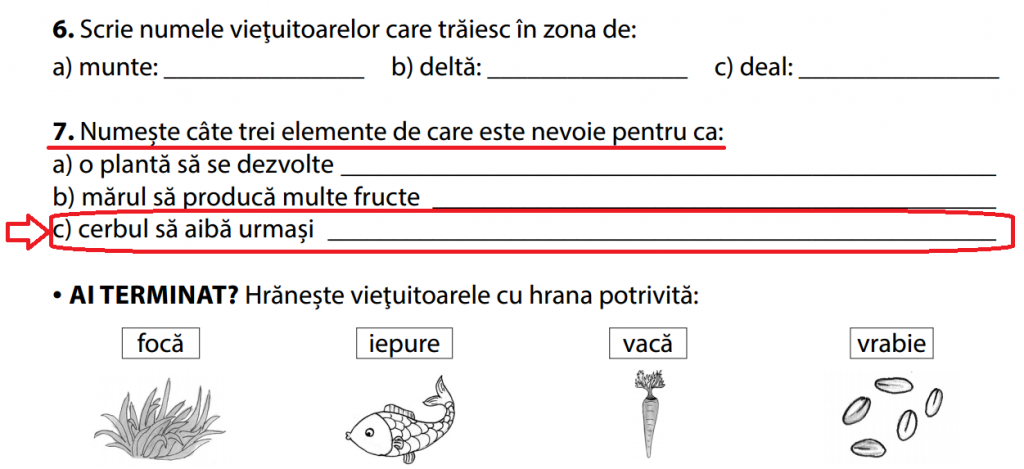 Caiet de matematsssică clasa a II-a